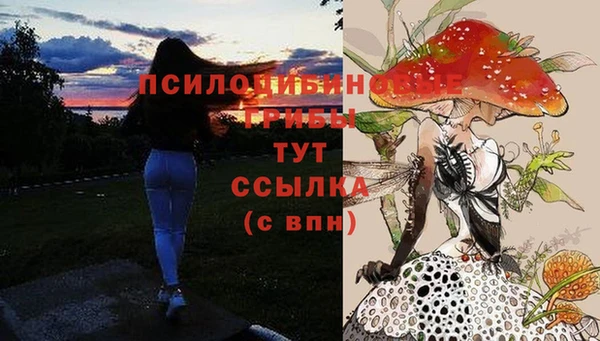 мет Армянск
