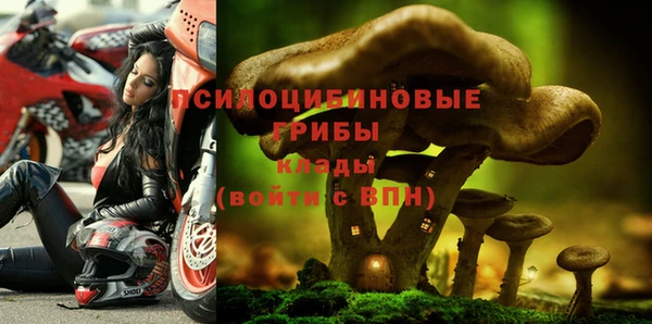 спиды Балахна