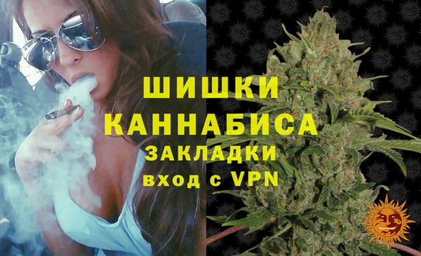 сатива Балабаново